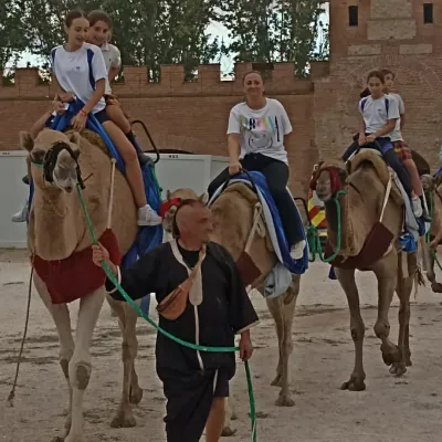 Chicas montando en dromedario.